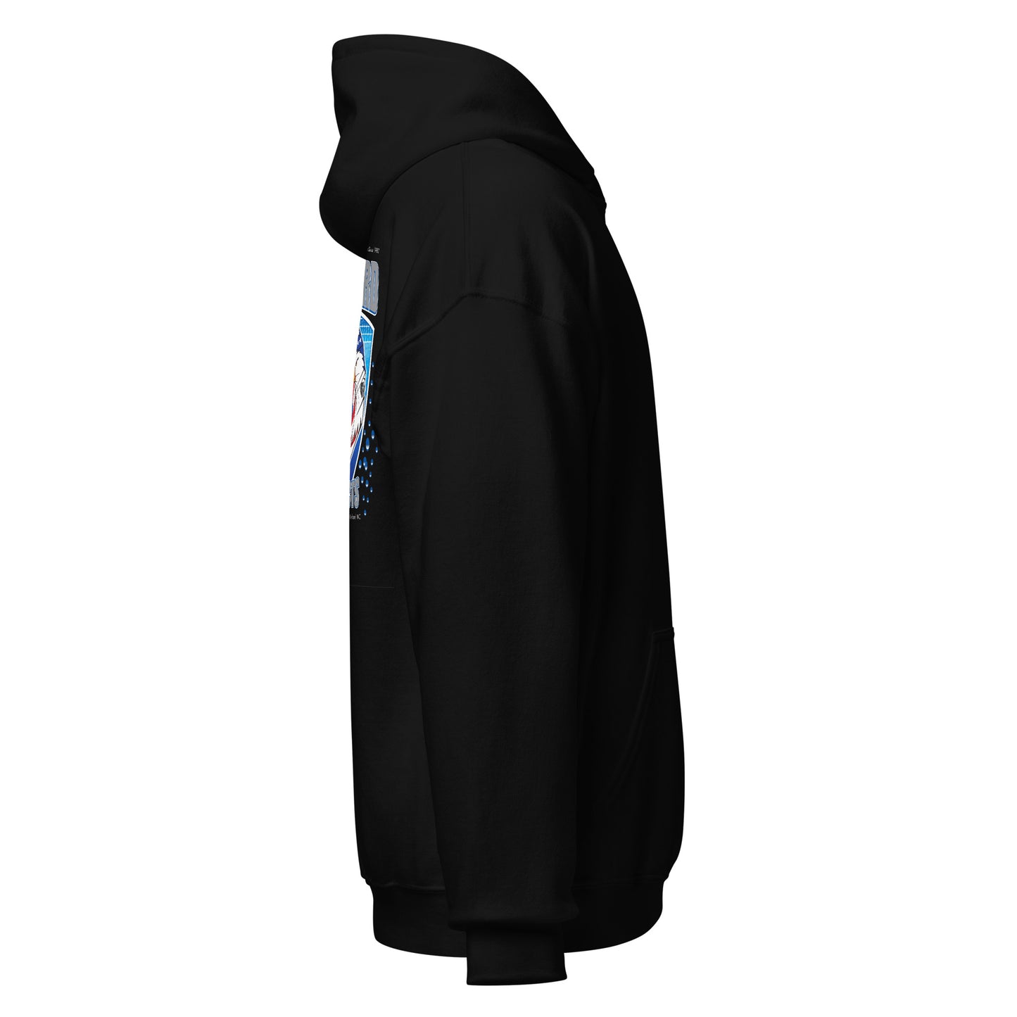 Unisex Hoodie (Eagle)